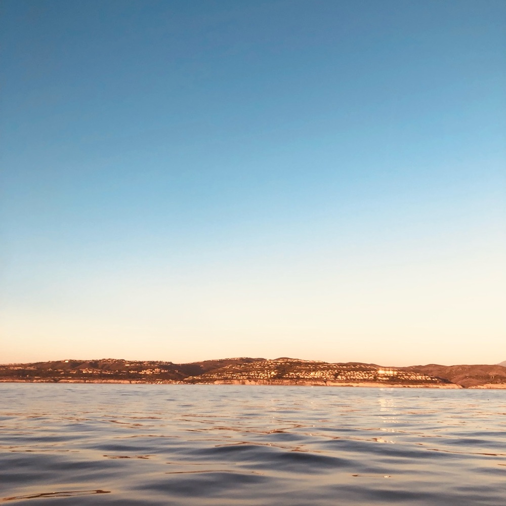 Meet your Posher, Vic